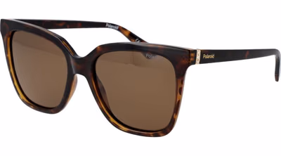 Brown Polycarbonate Sunglasses