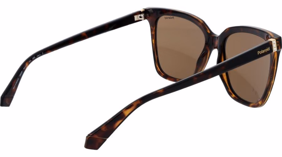 Polaroid Brown Polycarbonate Sunglasses