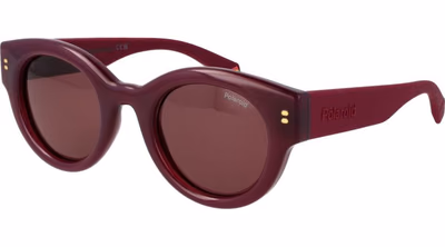 Purple Plastic Sunglasses