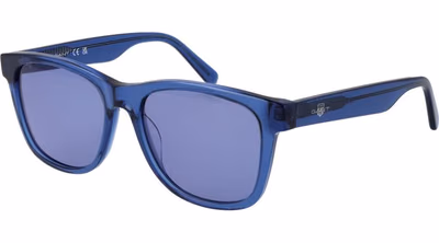 Blue Acetate Sunglasses
