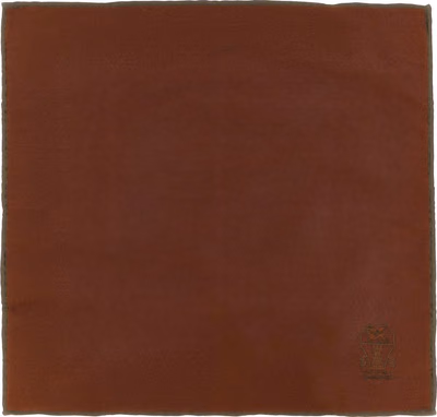 Brown Silk Scarf