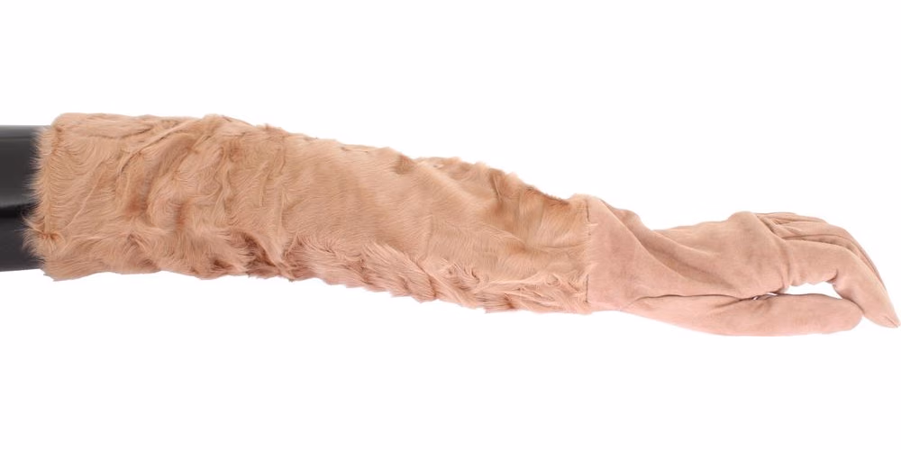 Dolce & Gabbana Beige Suede Xiangao Fur Elbow Gloves