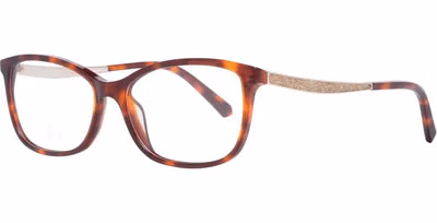 Brown Plastic Glasses (Frames)