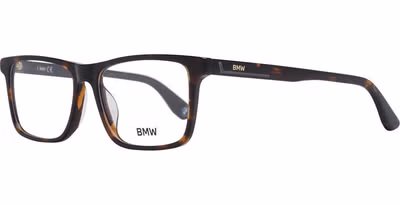 Brown Plastic Glasses (Frames)