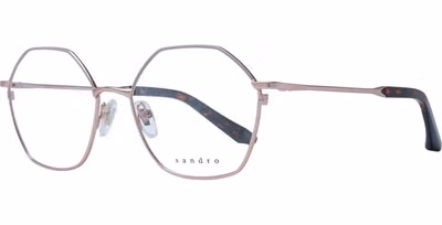 Rose Gold Stainless Steel Glasses (Frames)