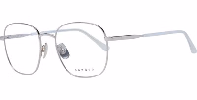 Silver Stainless Steel Glasses (Frames)