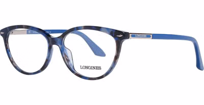 Blue Plastic Glasses (Frames)