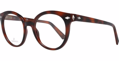 Brown Plastic Glasses (Frames)