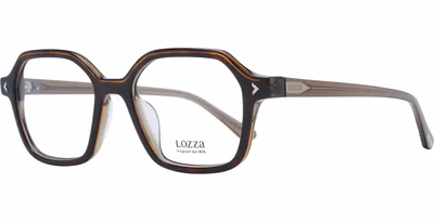 Brown Acetate & Plastic Glasses (Frames)