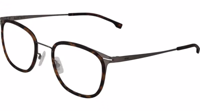 Brown Stainless Steel Glasses (Frames)