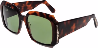 Brown Plastic Sunglasses