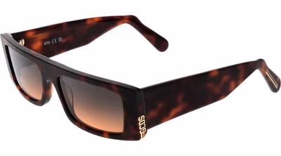 Brown Acetate Sunglasses