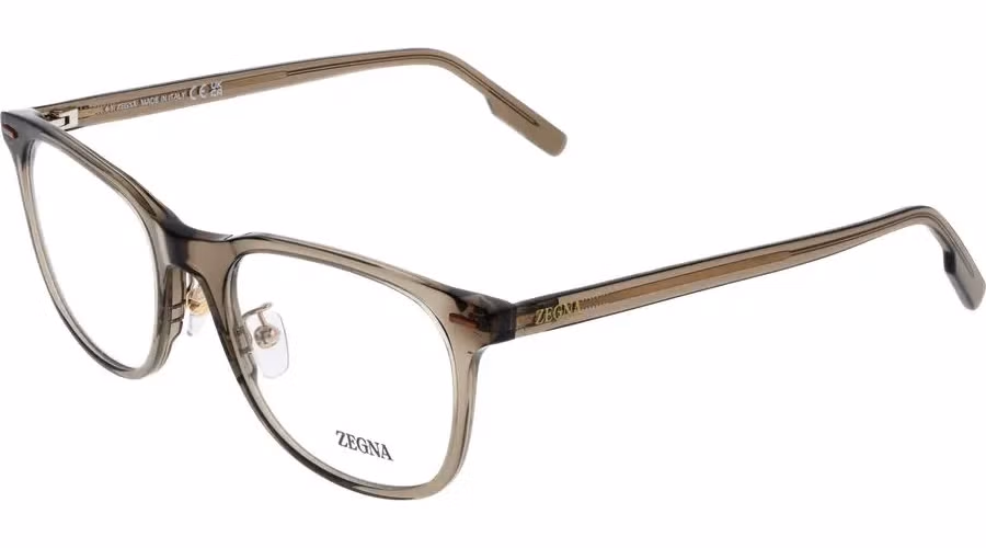 Ermenegildo Zegna Brown Acetate Glasses (Frames)