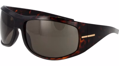 Brown Eco Polyamide Sunglasses