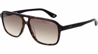 Brown Acetate Sunglasses