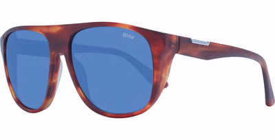 Brown Acetate Sunglasses