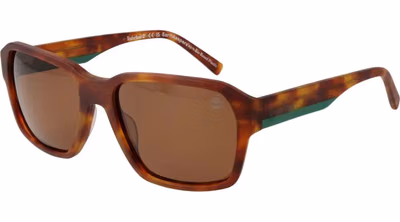 Brown Acetate Sunglasses