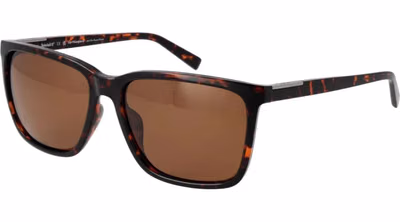 Brown Plastic Sunglasses