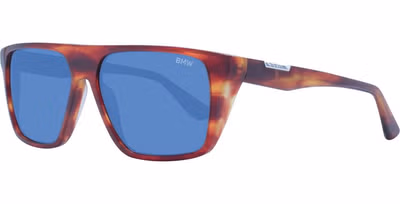 Brown Acetate Sunglasses