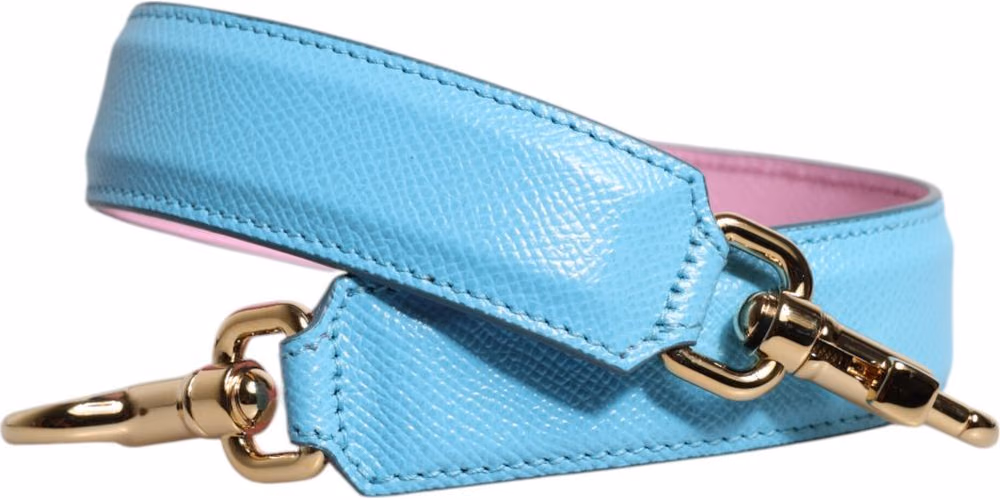 Dolce & Gabbana Pink Blue Leather Handle Bag Shoulder Strap