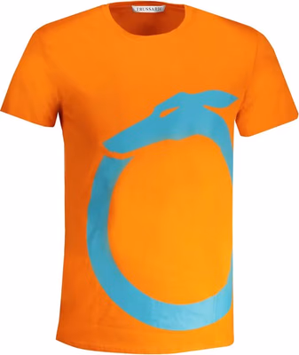 Arancione Cotton Men T-Shirt