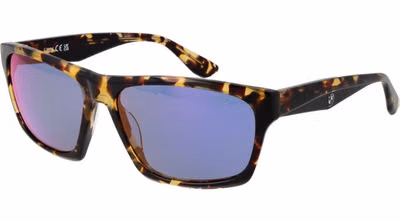 Brown Acetate Sunglasses