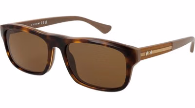 Brown Acetate Sunglasses