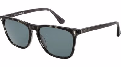 Black Acetate Sunglasses