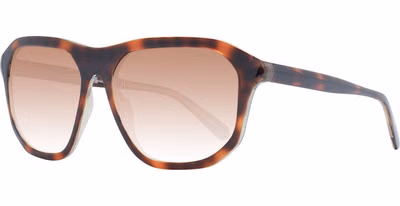 Brown Plastic Sunglasses
