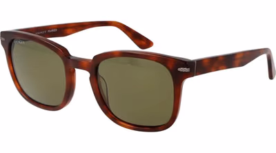 Brown Acetate Sunglasses