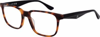Brown Acetate Glasses (Frames)