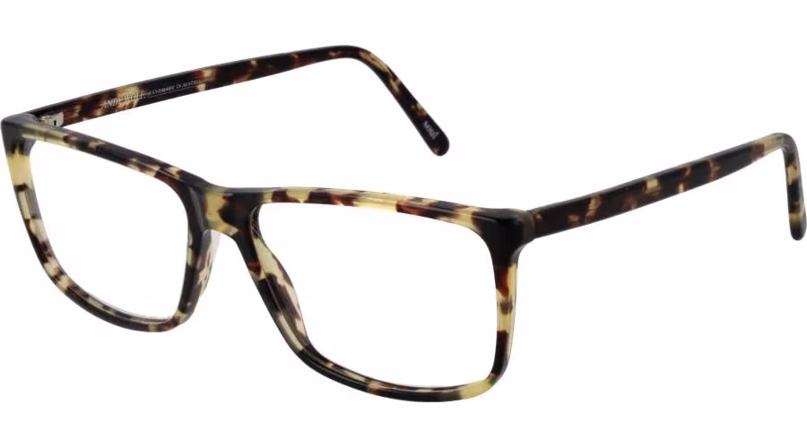 Andy Wolf Multicolor Acetate Glasses (Frames)