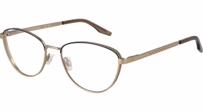 Gold Metal Glasses (Frames)