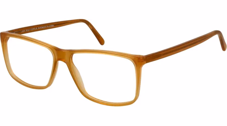 Andy Wolf Bicolor Acetate Glasses (Frames)
