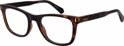 Brown Polyester Glasses (Frames)