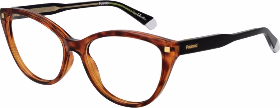 Polaroid Brown Cellulose Propionate Glasses (Frames)