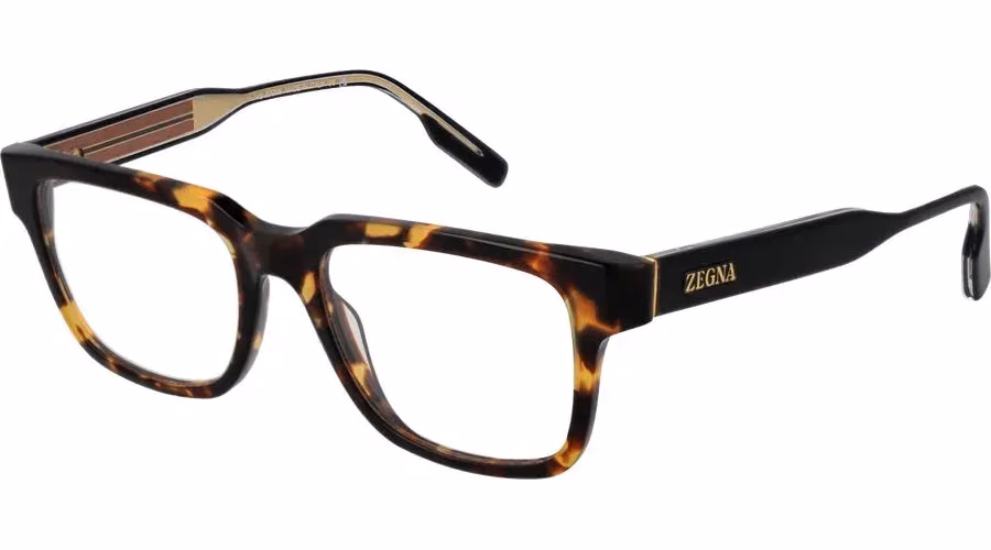Ermenegildo Zegna Brown Acetate Glasses (Frames)