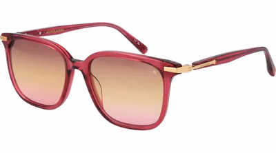 Pink Acetate Sunglasses