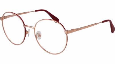 Rose Gold Metal Glasses (Frames)
