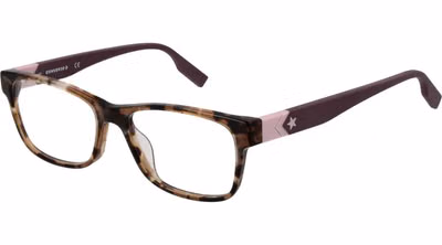 Brown Plastic Glasses (Frames)