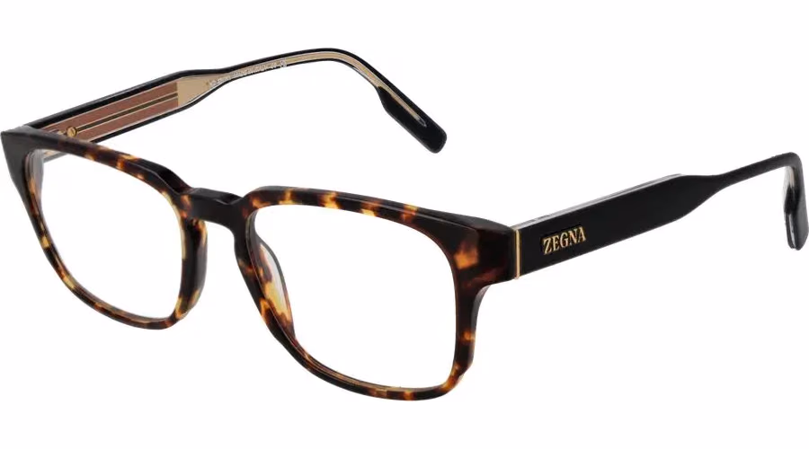 Ermenegildo Zegna Brown Acetate Glasses (Frames)