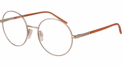 Gold Metal & Plastic Glasses (Frames)
