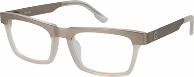 Silver Plastic Glasses (Frames)