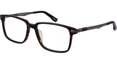 Brown Plastic Glasses (Frames)